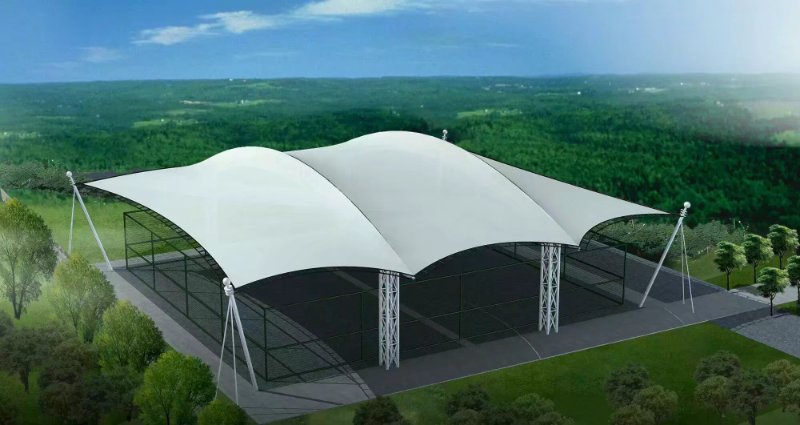 �w�����_�����^Ч���D